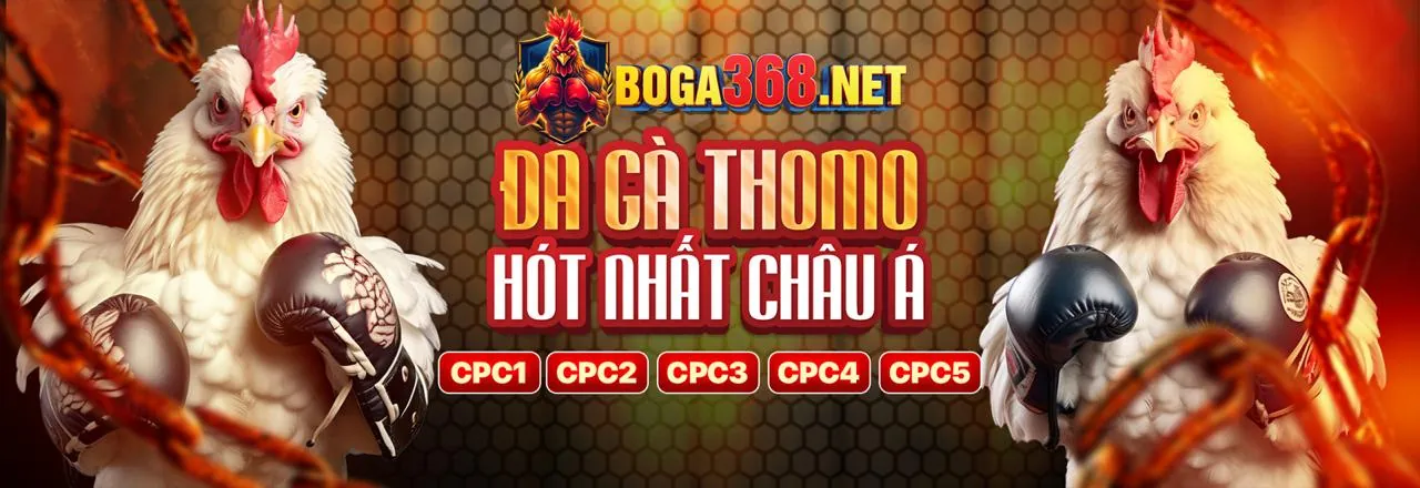 Giải đấu VIP đặc biệt