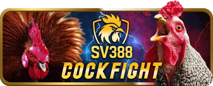 Tuyển thủ eSports đang thi đấu trên máy tính
